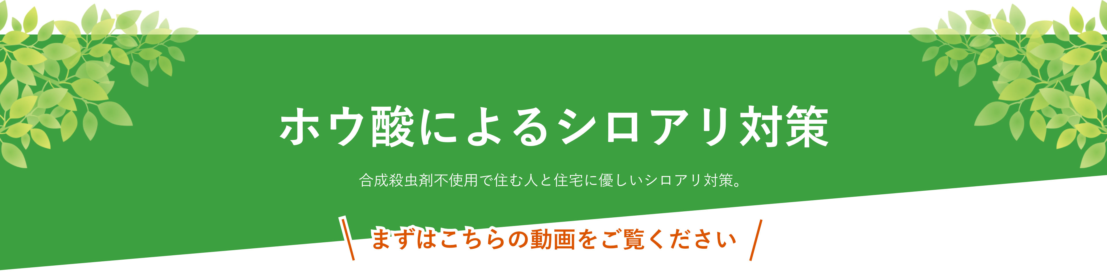 【ホウ酸によるシロアリ対策】合成殺虫剤不使用で住む人と住宅に優しいシロアリ対策。