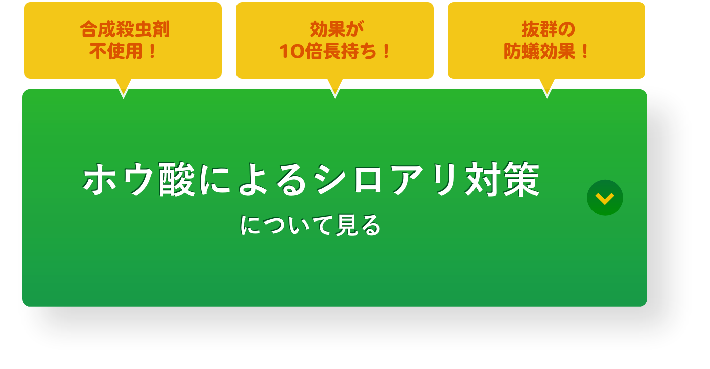 ホウ酸によるシロアリ対策について見る