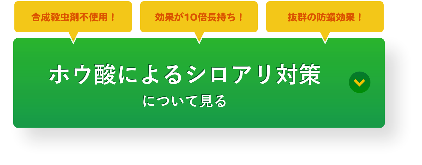 ホウ酸によるシロアリ対策について見る