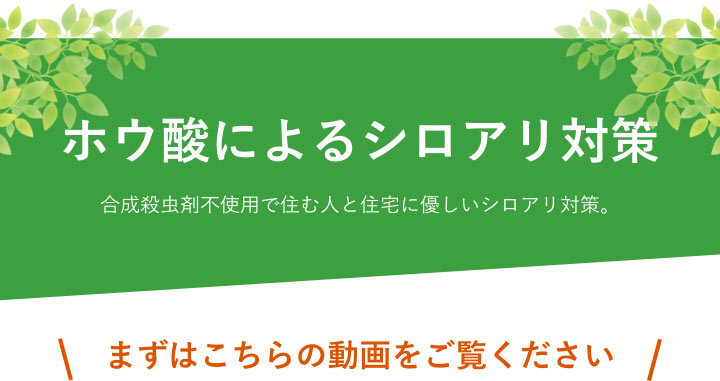 【ホウ酸によるシロアリ対策】合成殺虫剤不使用で住む人と住宅に優しいシロアリ対策。