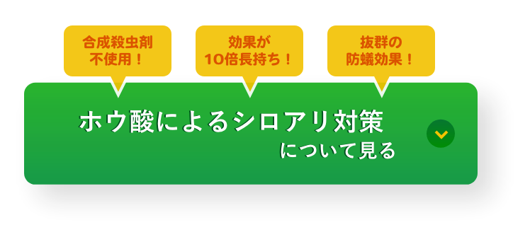 ホウ酸によるシロアリ対策について見る