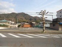 【売地】呉市広中新開1丁目