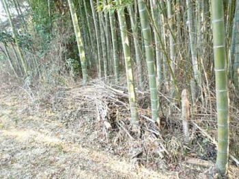 【売地】東広島市黒瀬町丸山字神洗川