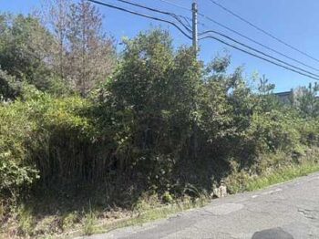 【売地】東広島市黒瀬町宗近柳国