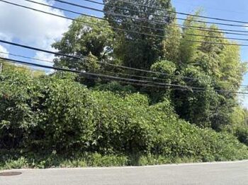 【売地】東広島市黒瀬町津江字反田東