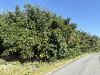 【売地】東広島市黒瀬町宗近柳国字下モ原